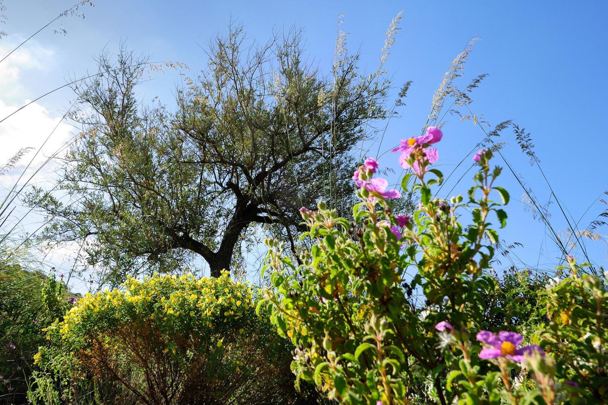 Kallikoros Country Resort & Spa Noto Extérieur photo