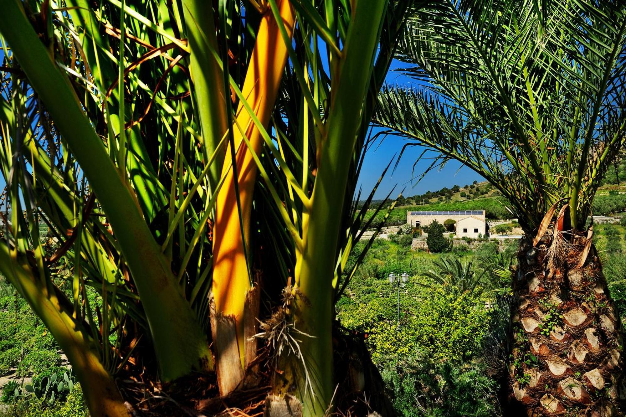 Kallikoros Country Resort & Spa Noto Extérieur photo
