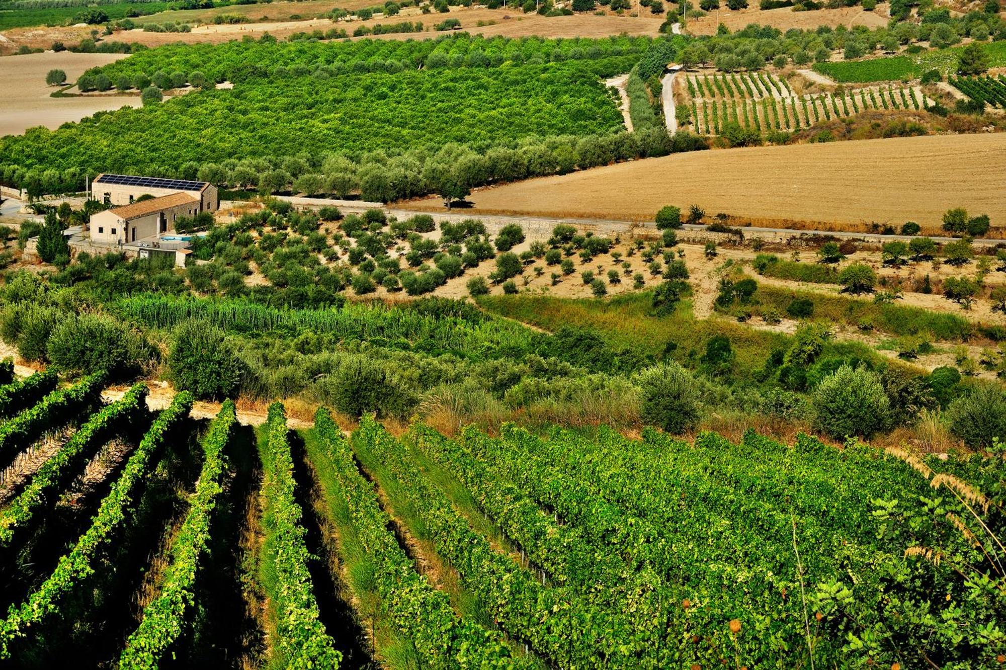 Kallikoros Country Resort & Spa Noto Extérieur photo