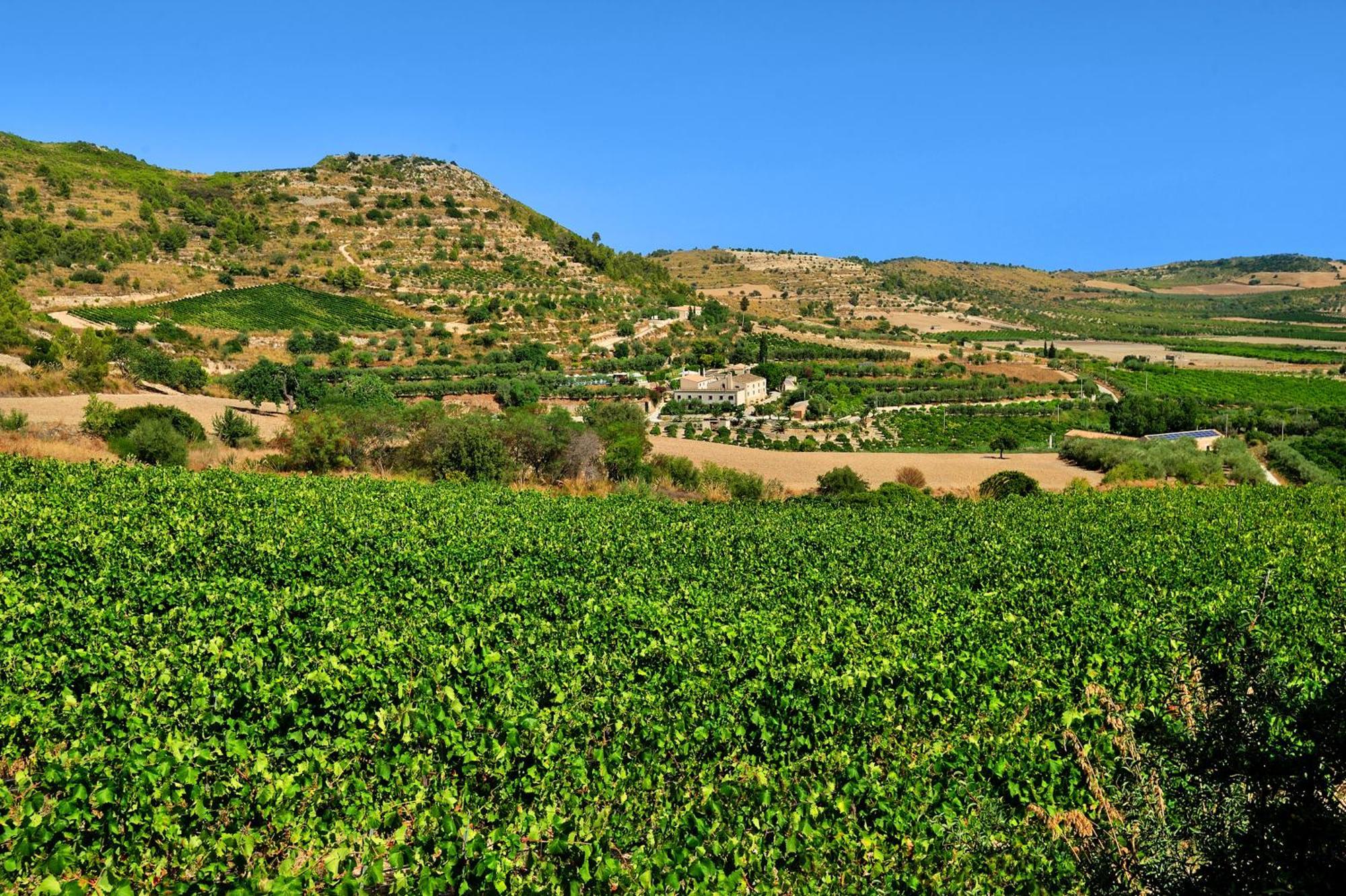 Kallikoros Country Resort & Spa Noto Extérieur photo