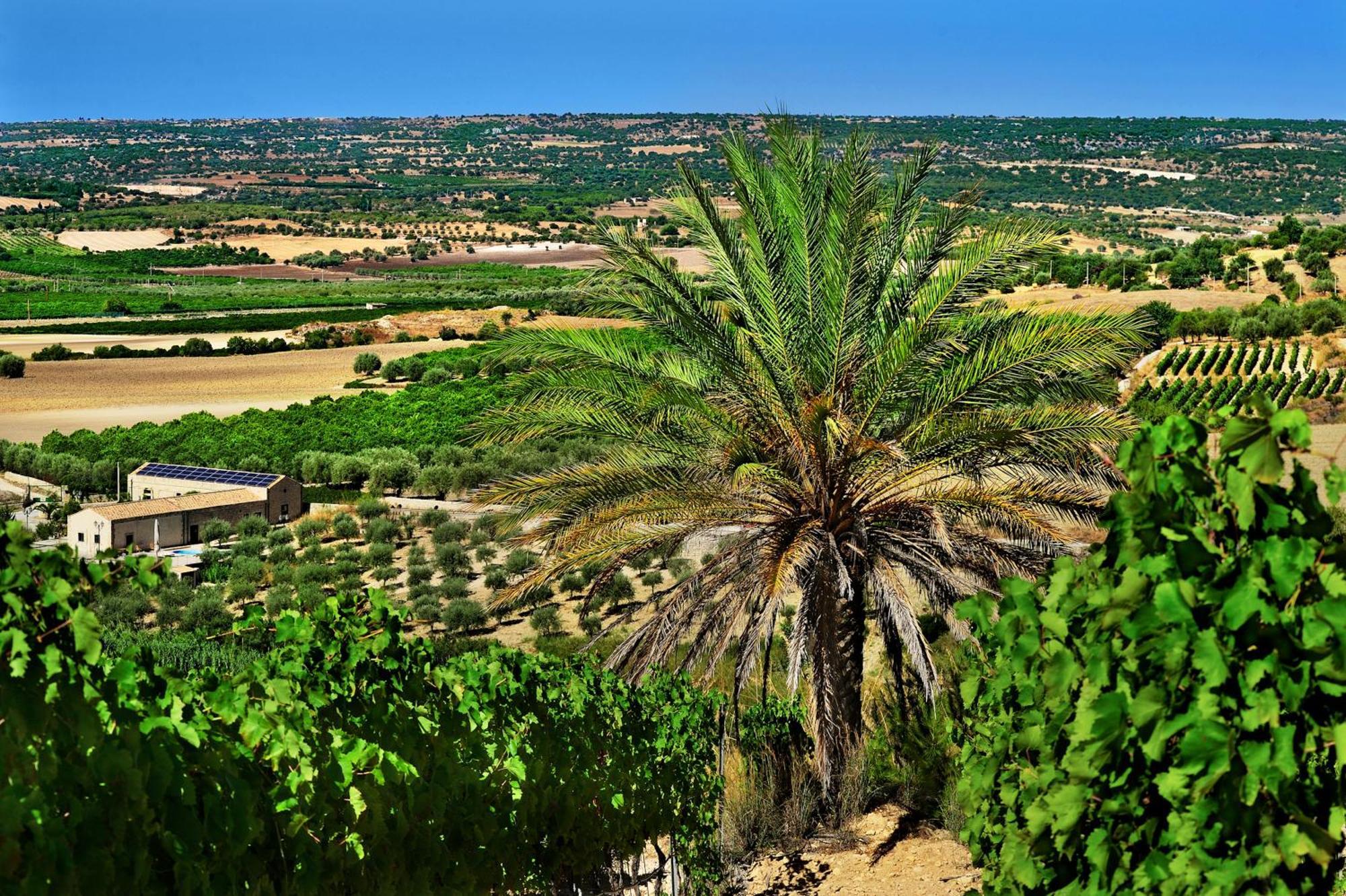 Kallikoros Country Resort & Spa Noto Extérieur photo