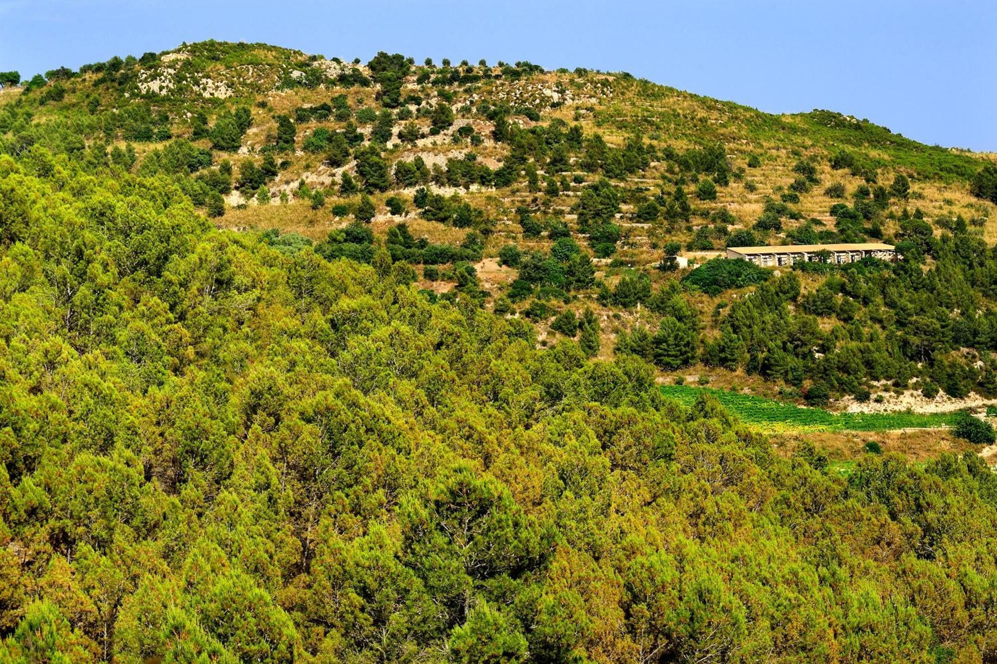 Kallikoros Country Resort & Spa Noto Extérieur photo