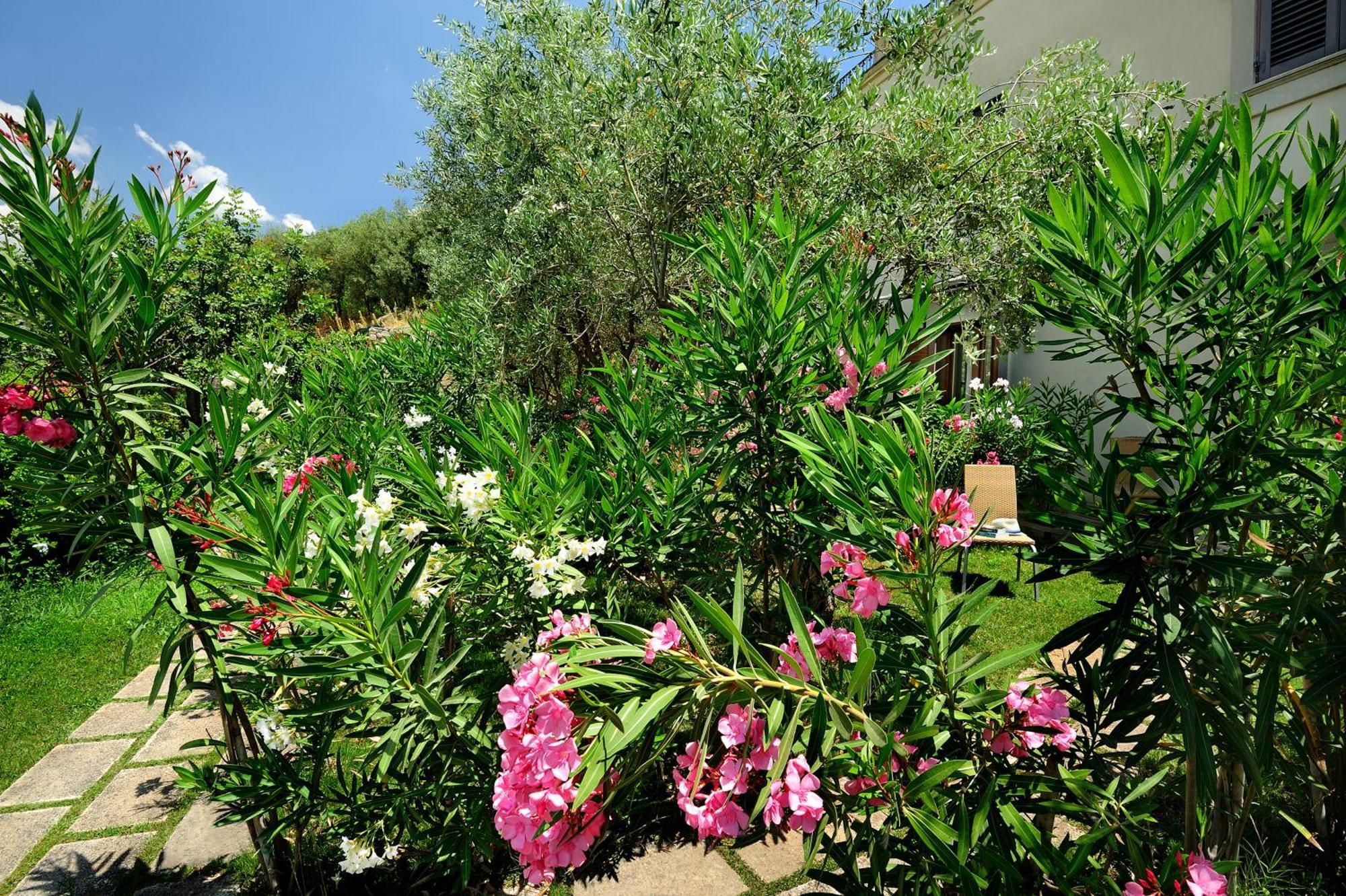 Kallikoros Country Resort & Spa Noto Extérieur photo