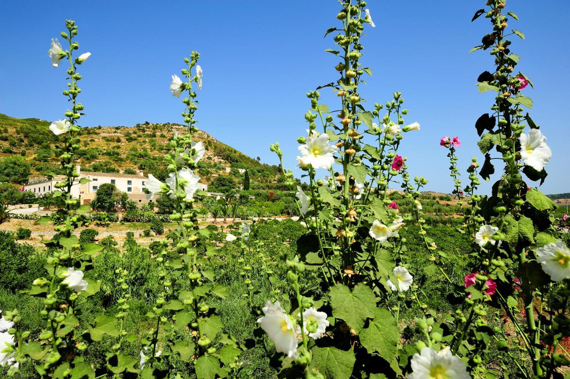 Kallikoros Country Resort & Spa Noto Extérieur photo