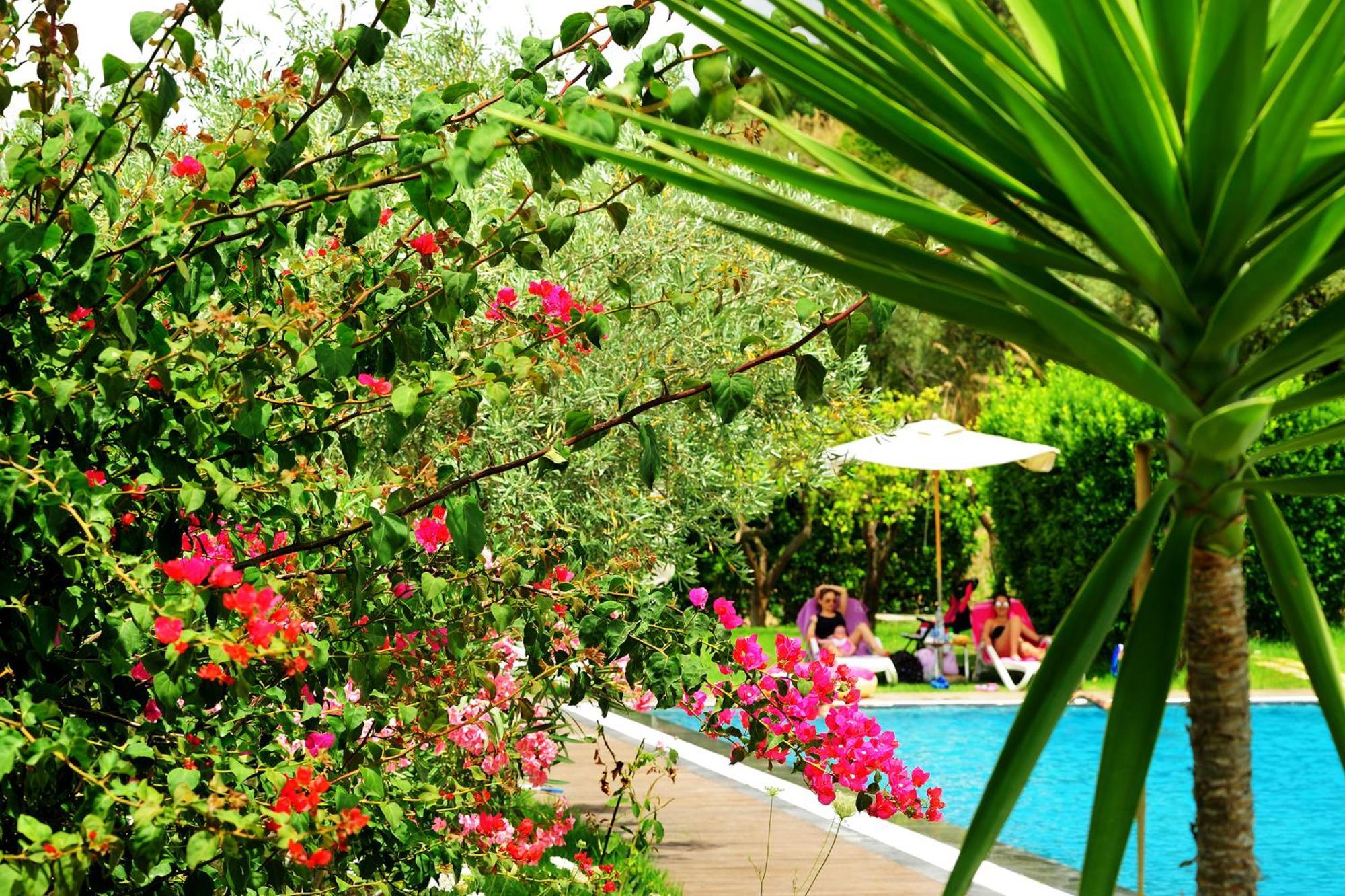 Kallikoros Country Resort & Spa Noto Extérieur photo