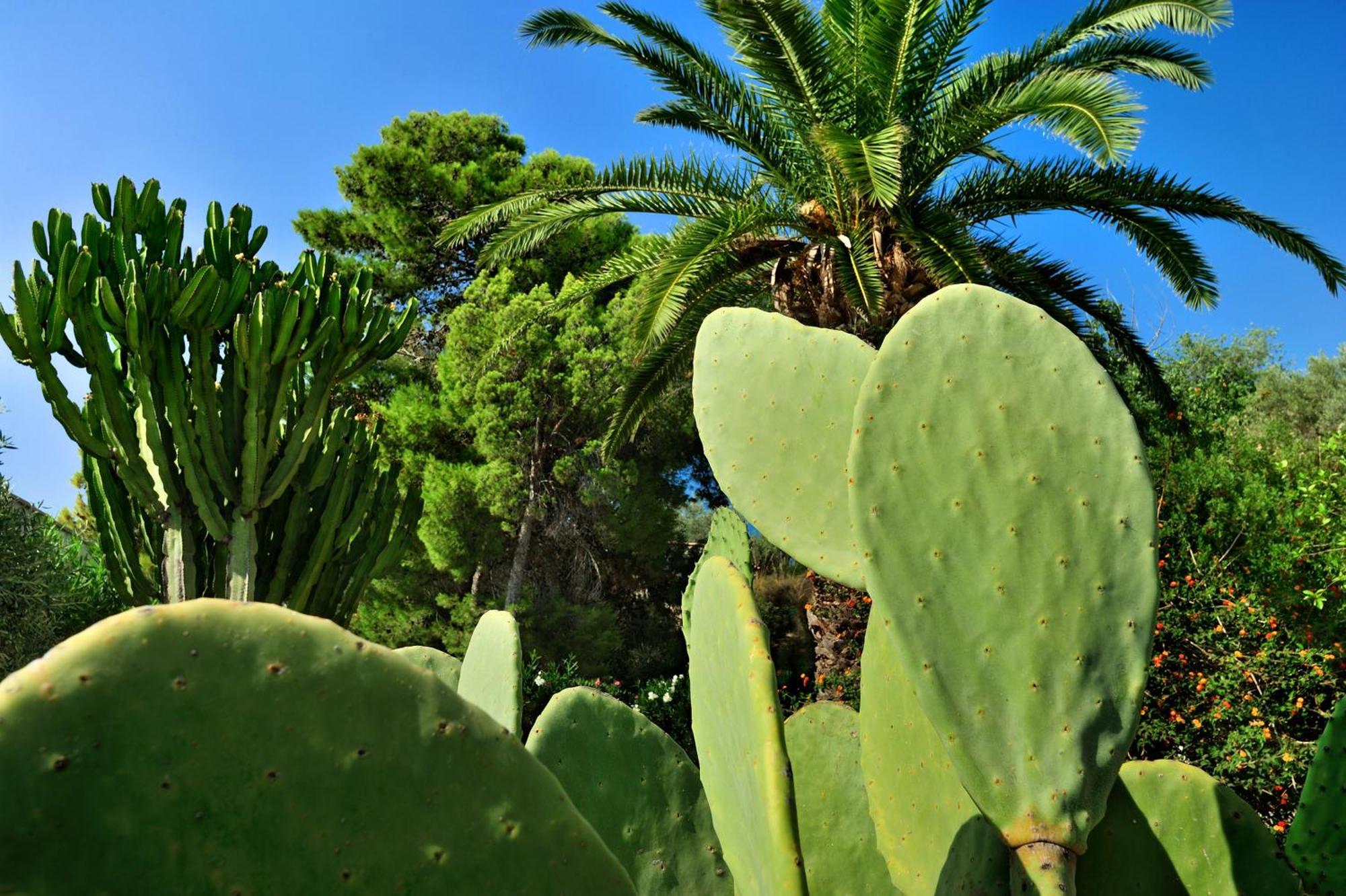 Kallikoros Country Resort & Spa Noto Extérieur photo